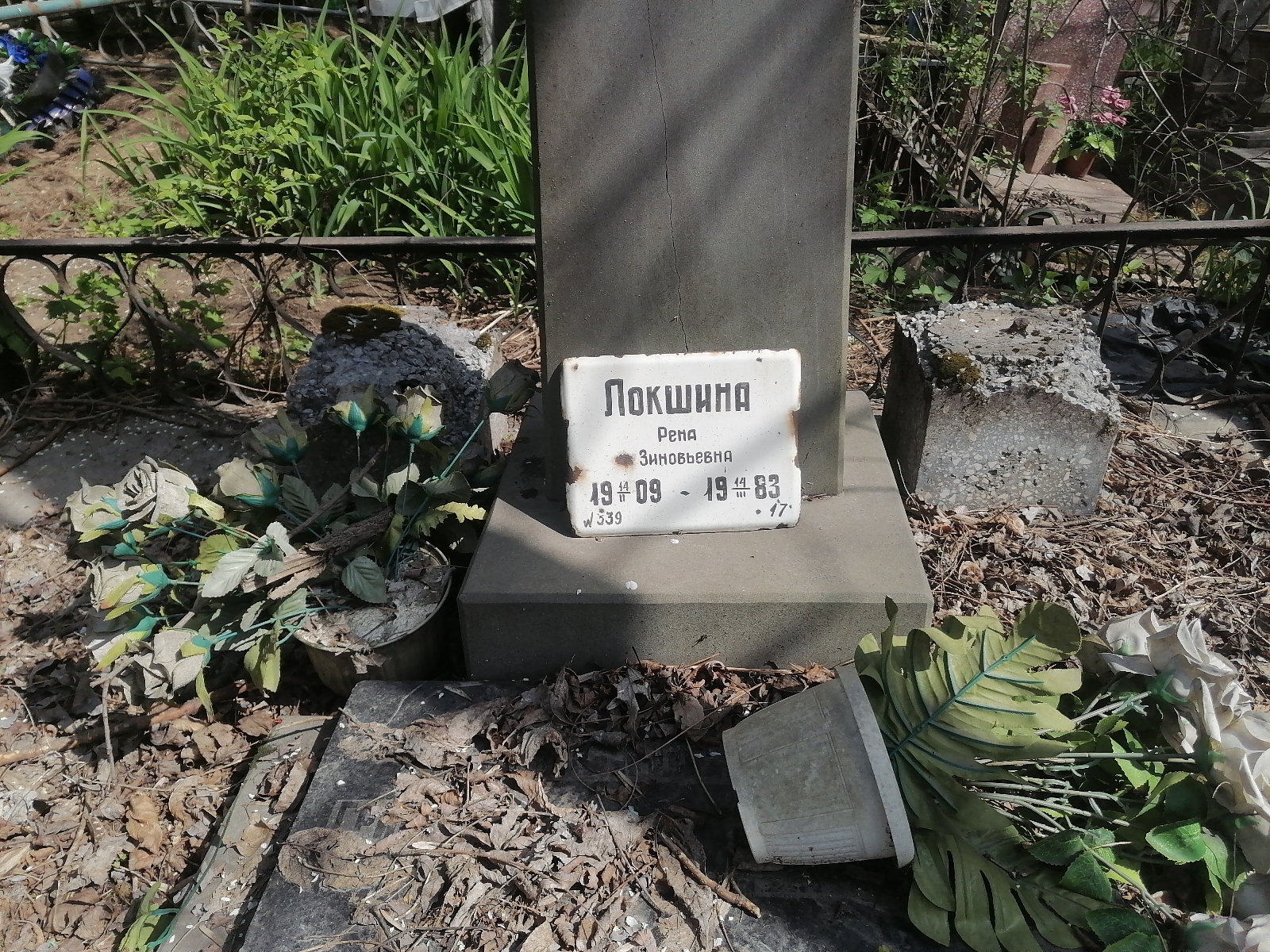 Локшина Рена Зиновьевна