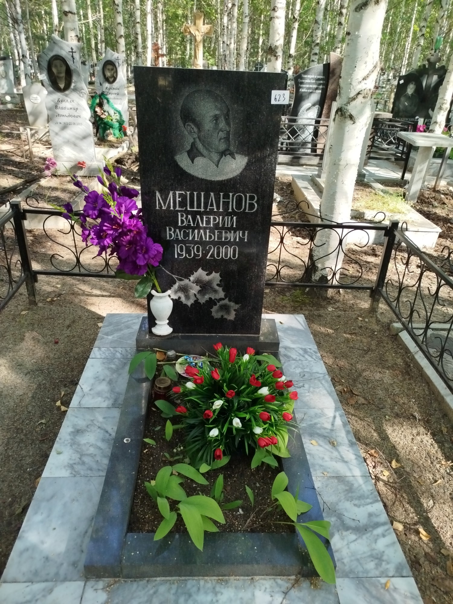 Мешанов Валерий Васильевич