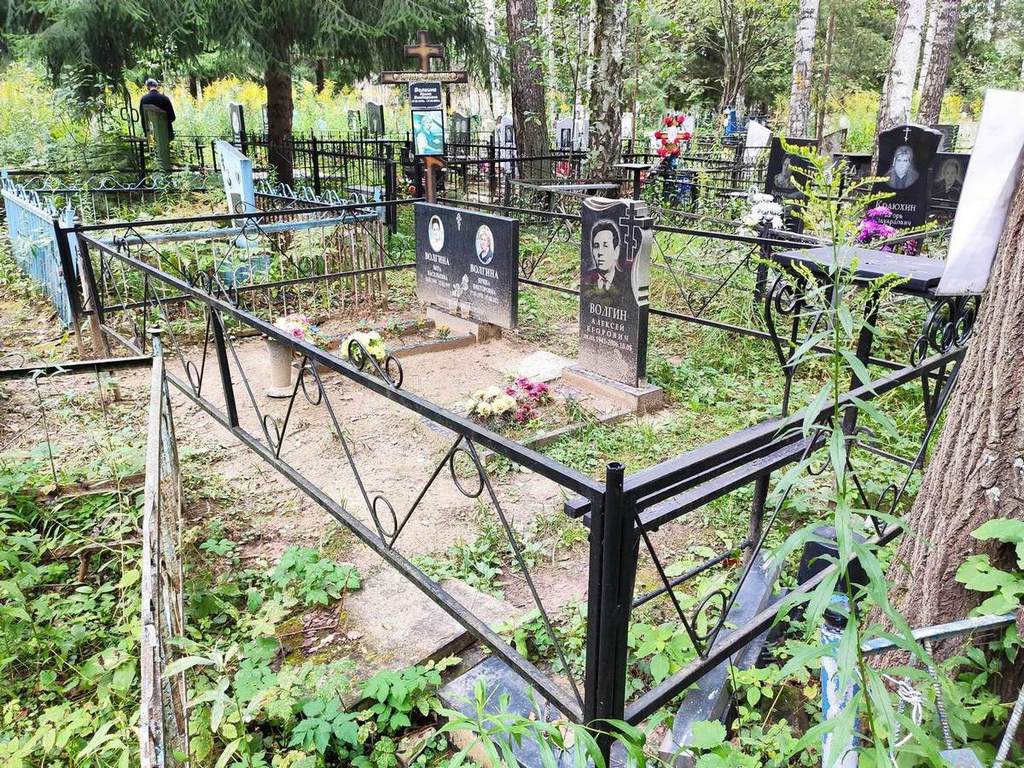 Волгина Вера Васильевна