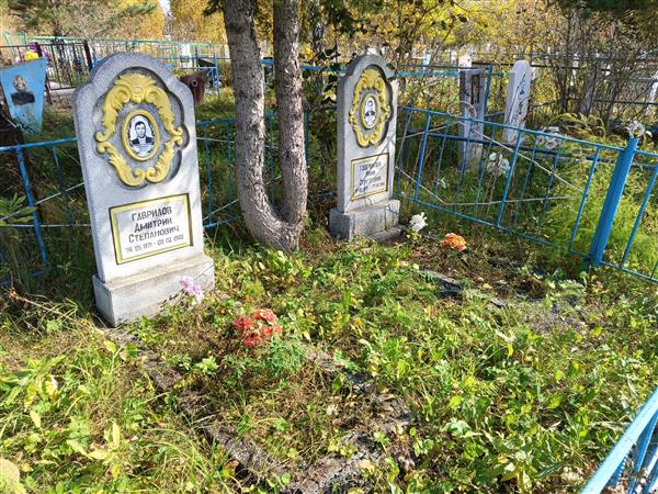 Гаврилов Дмитрий Степанович