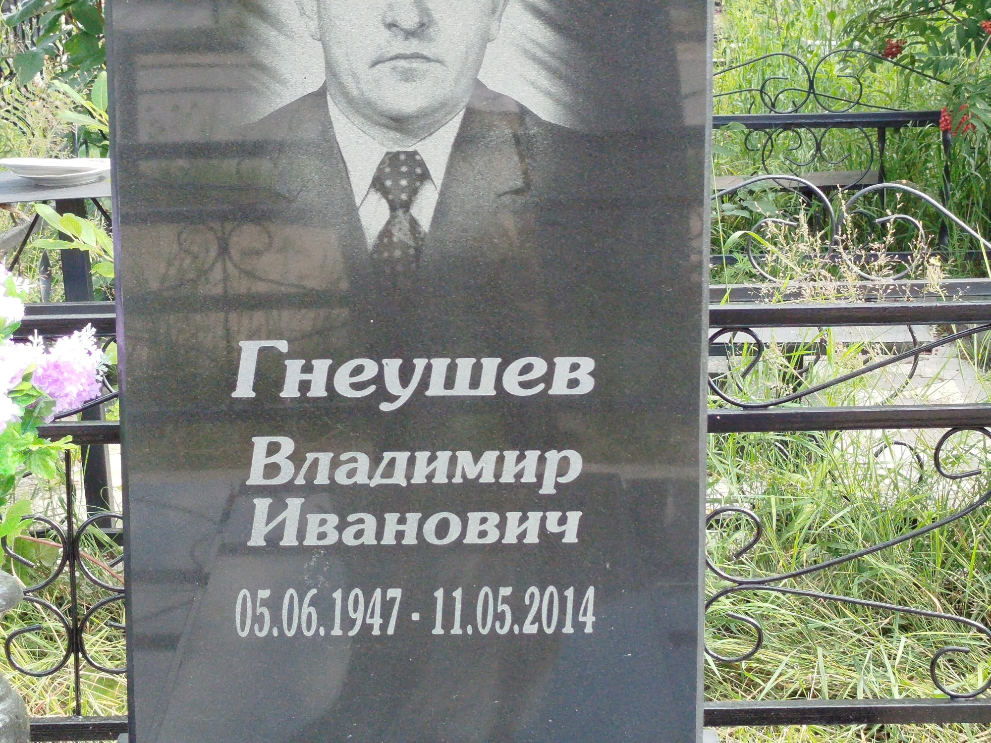 Гнеушев Владимир Иванович