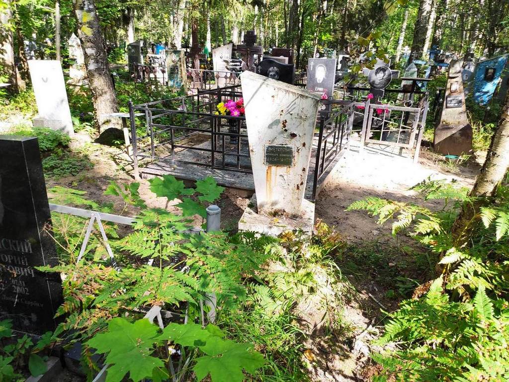 Викторова Александра Алексеевна