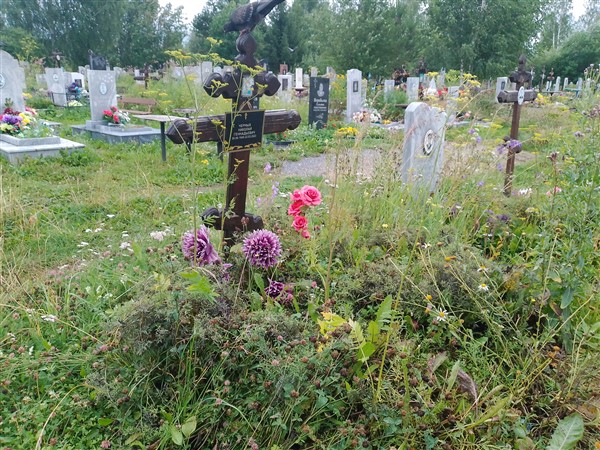 Черных Николай Геннадьевич