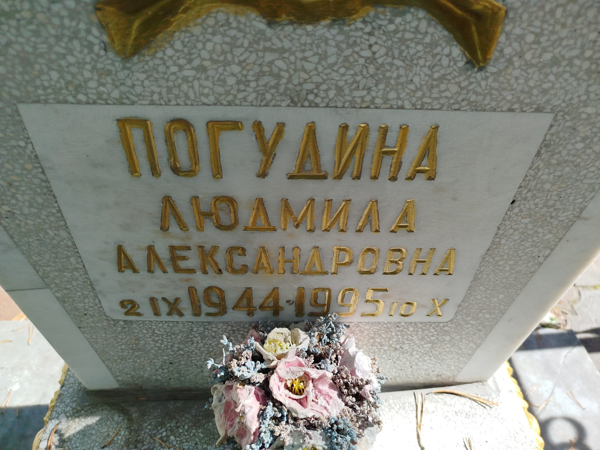Погудина Людмила Александровна