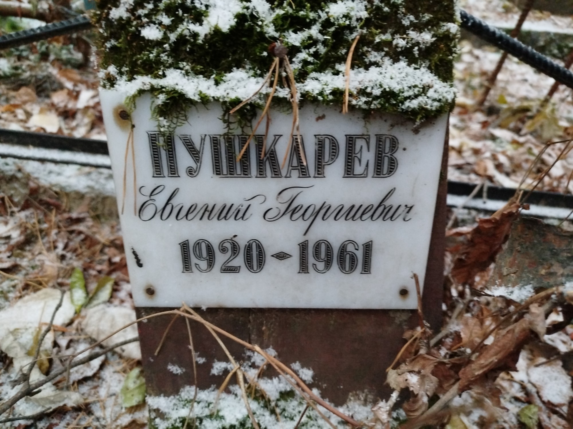 Пушкарев Евгений Георгиевич