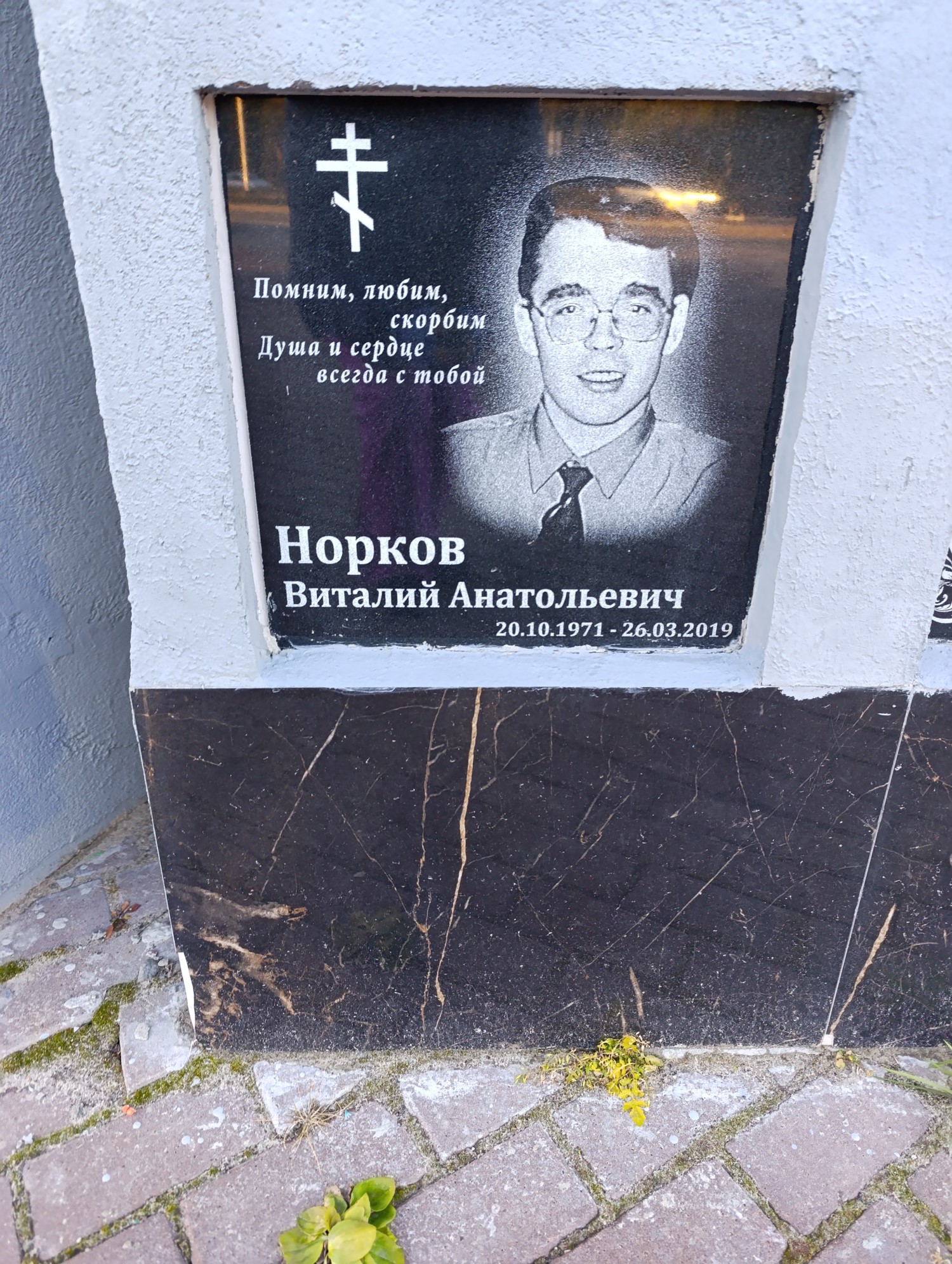Норков Виталий Анатольевич