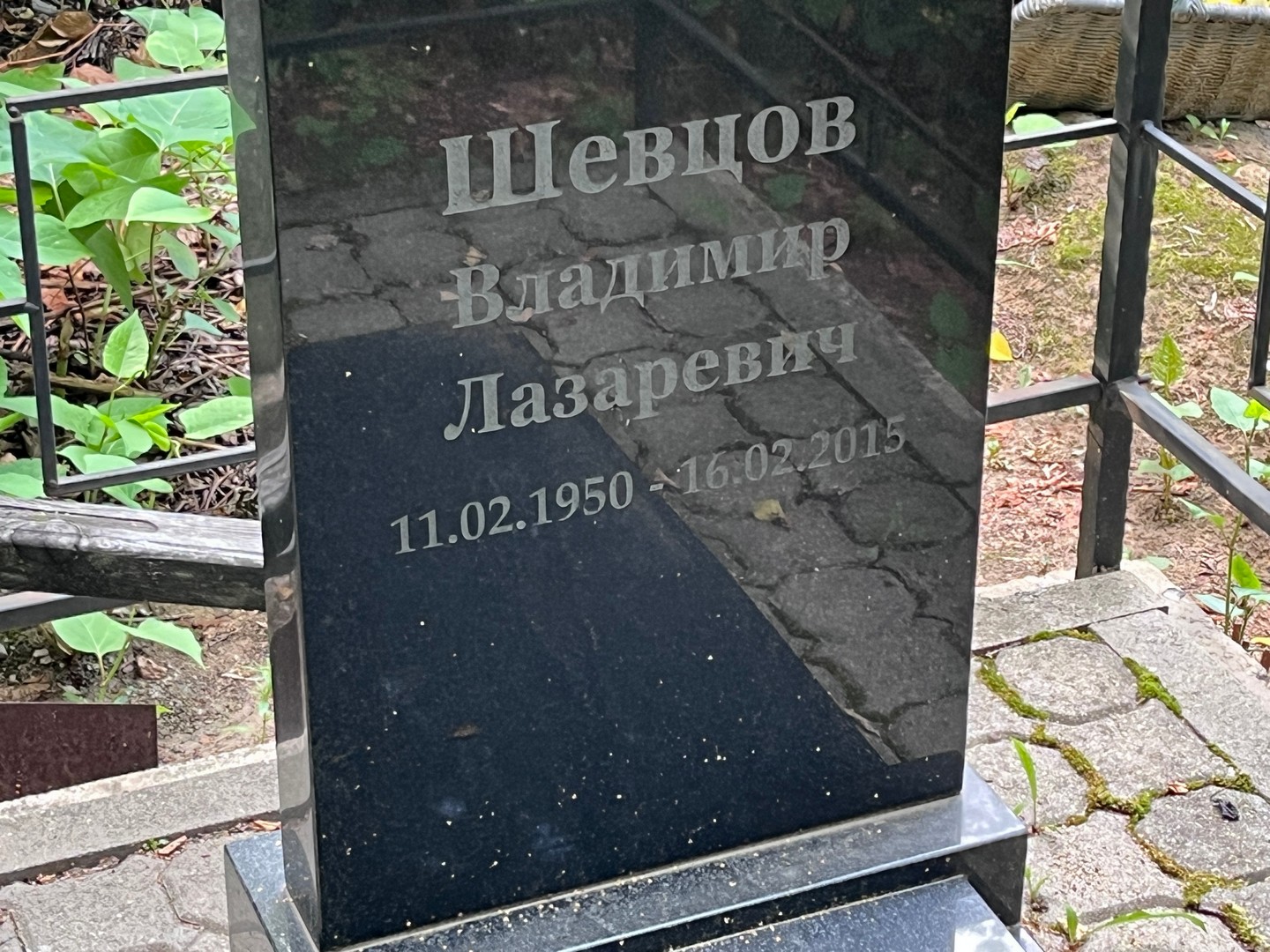 Шевцов