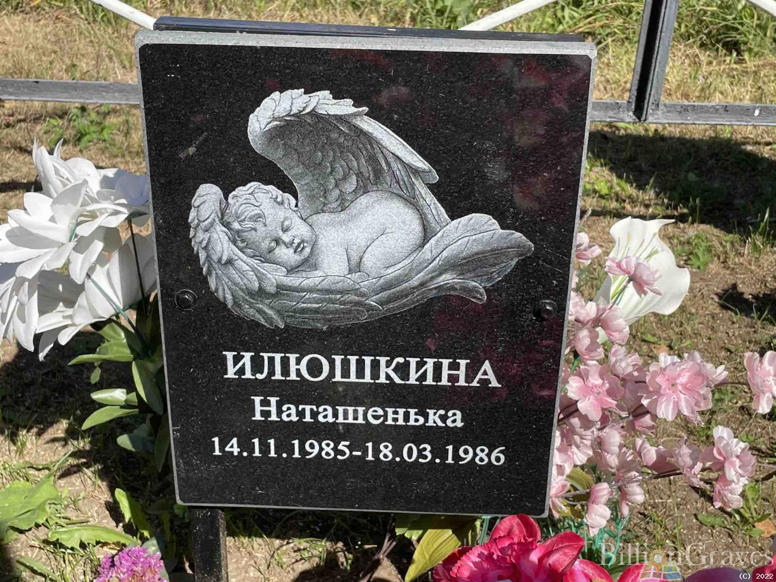Илюшкина Наталья Васильевна