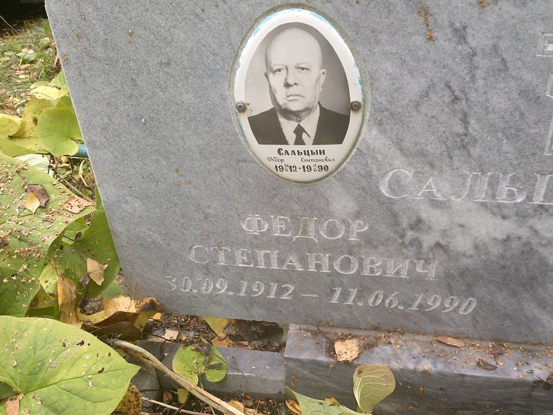 Сальцын