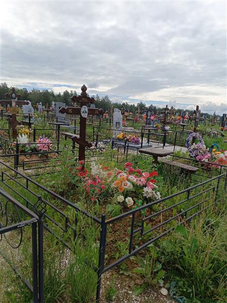 Софронов Николай Николаевич