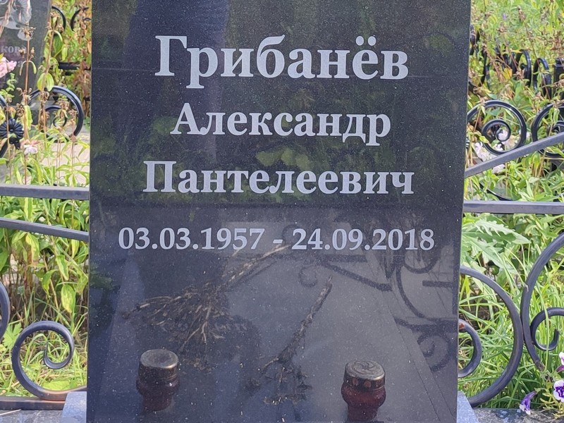 Грибанев