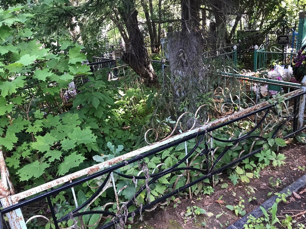 Перфильева Ольга Федоровна
