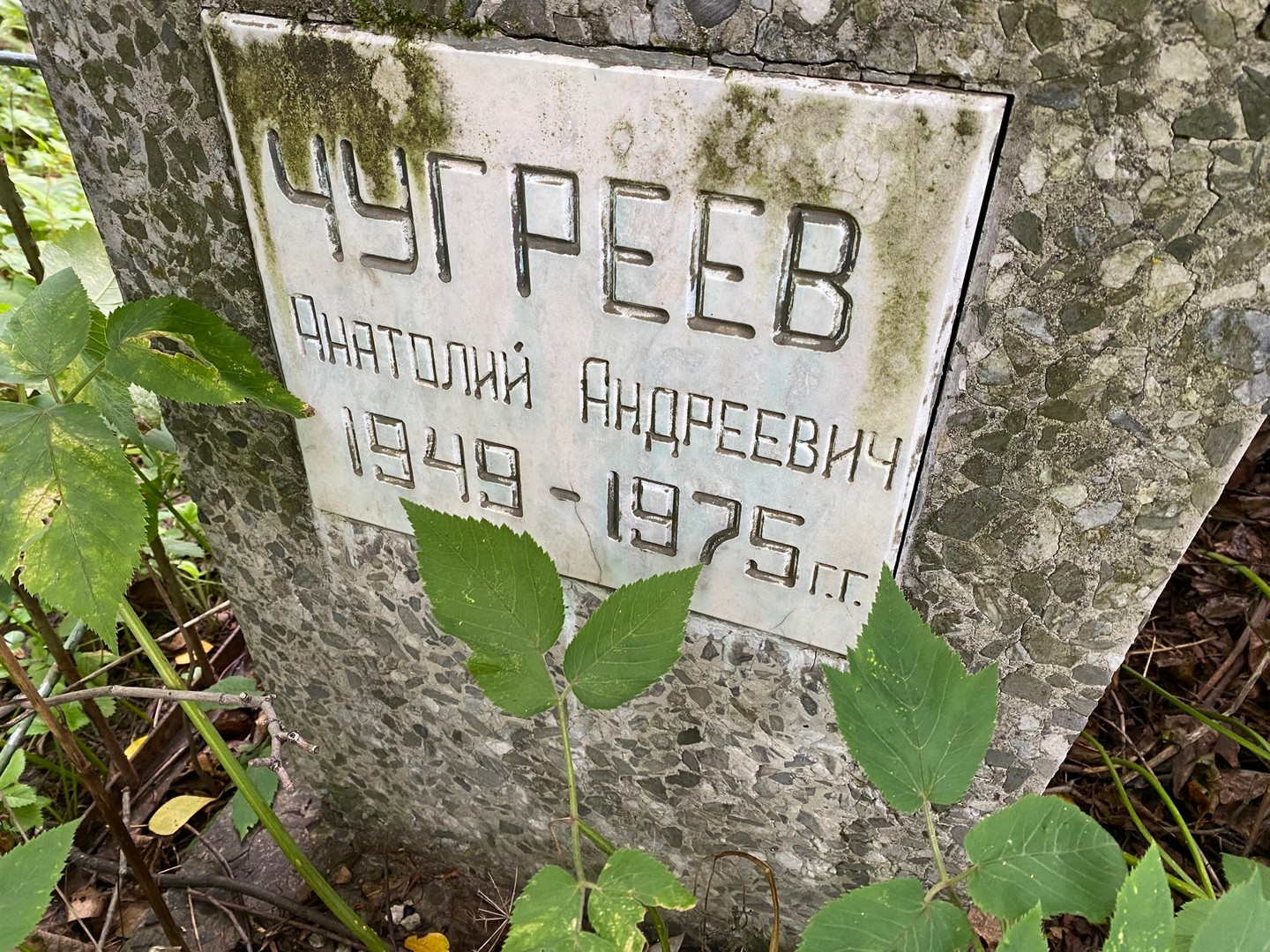 Чугреев