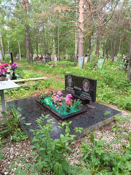 Янов Валерий Михайлович