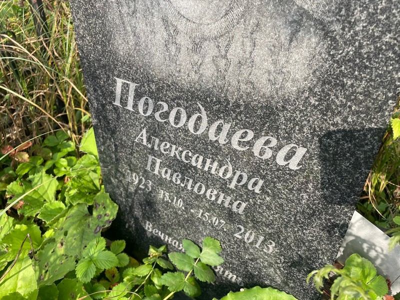 Погодаева Александра Павловна