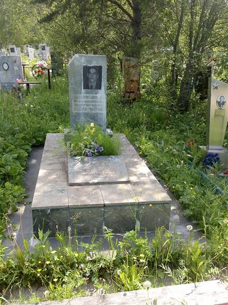 Шмелев Михаил Викторович