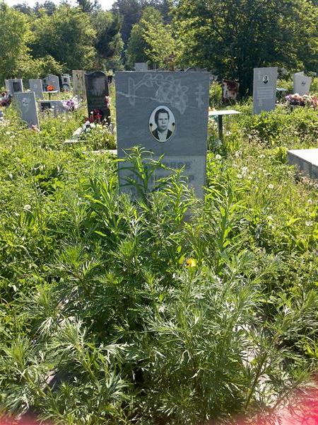 Топорков Александр Сергеевич