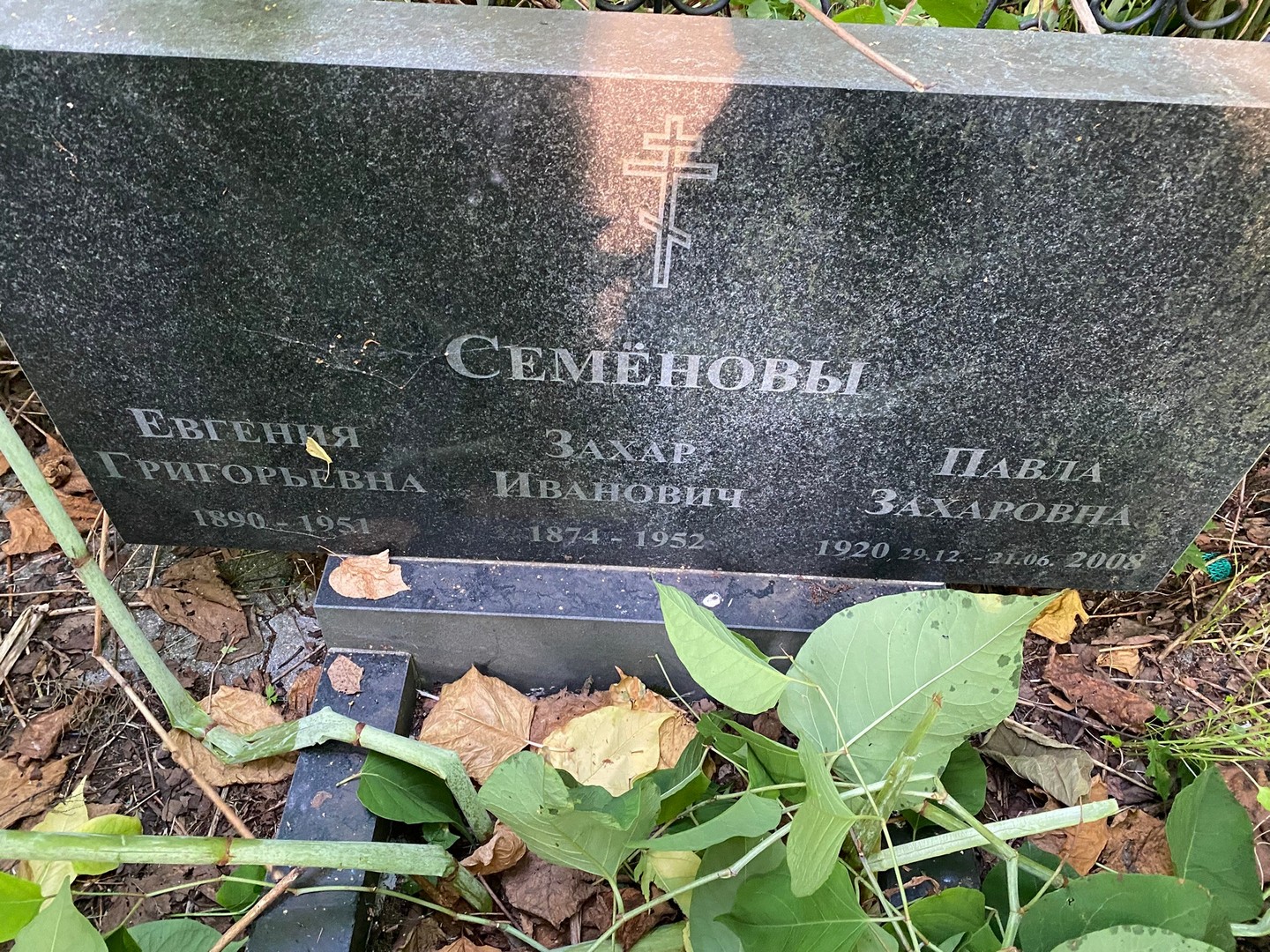 Семенова Евгения Григорьевна