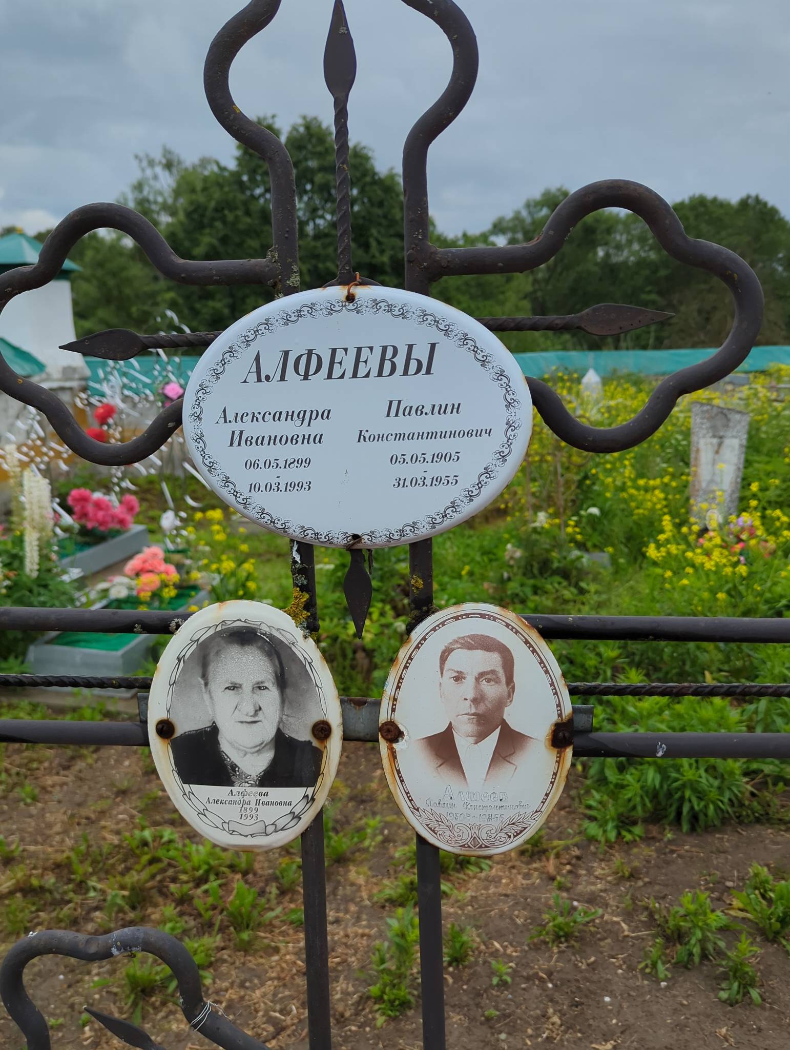Алфеева Александра Ивановна