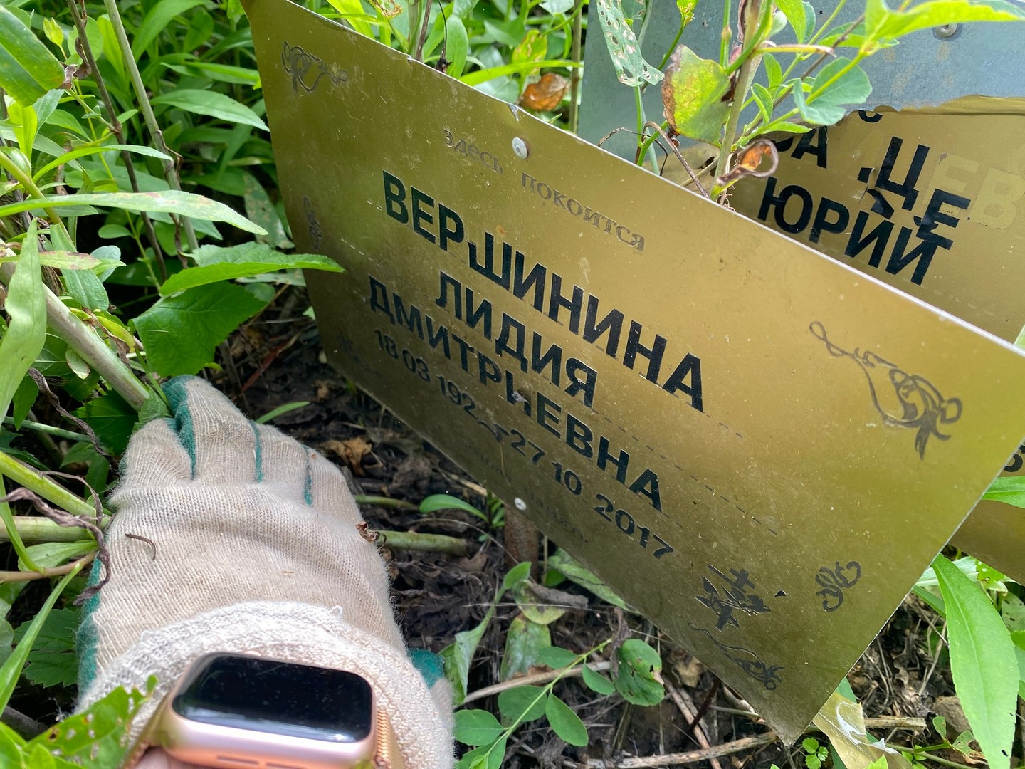 Вершинина