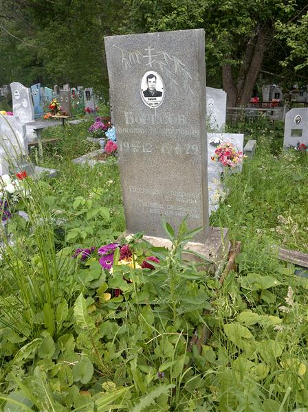 Борисов Николай Михайлович