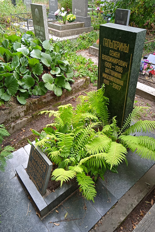 Корнеев Михаил Евгеньевич