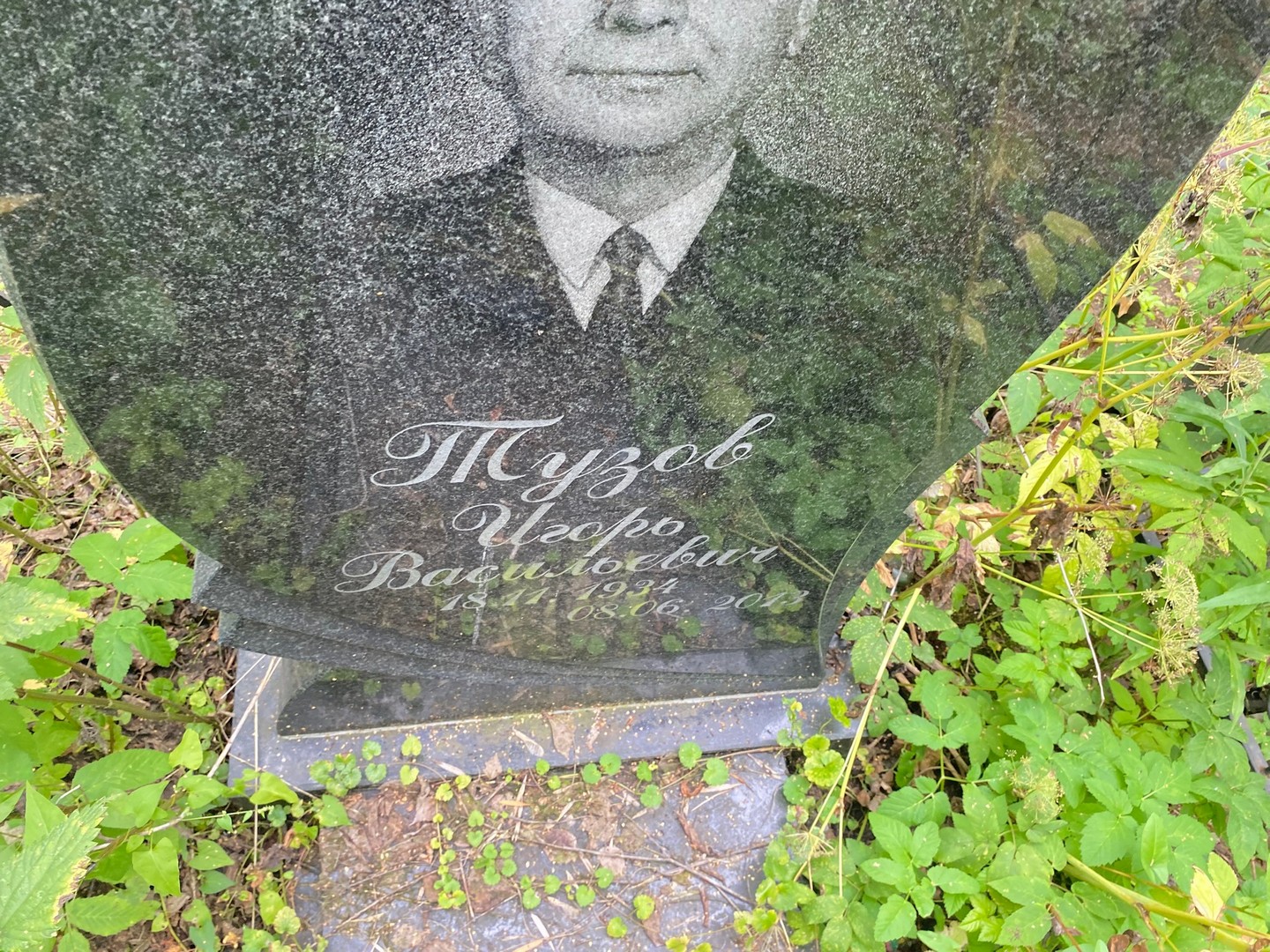 Тузов