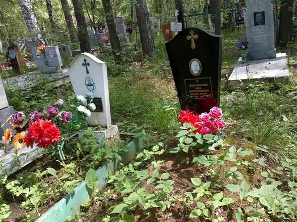 Пролубщикова Анна Константиновна