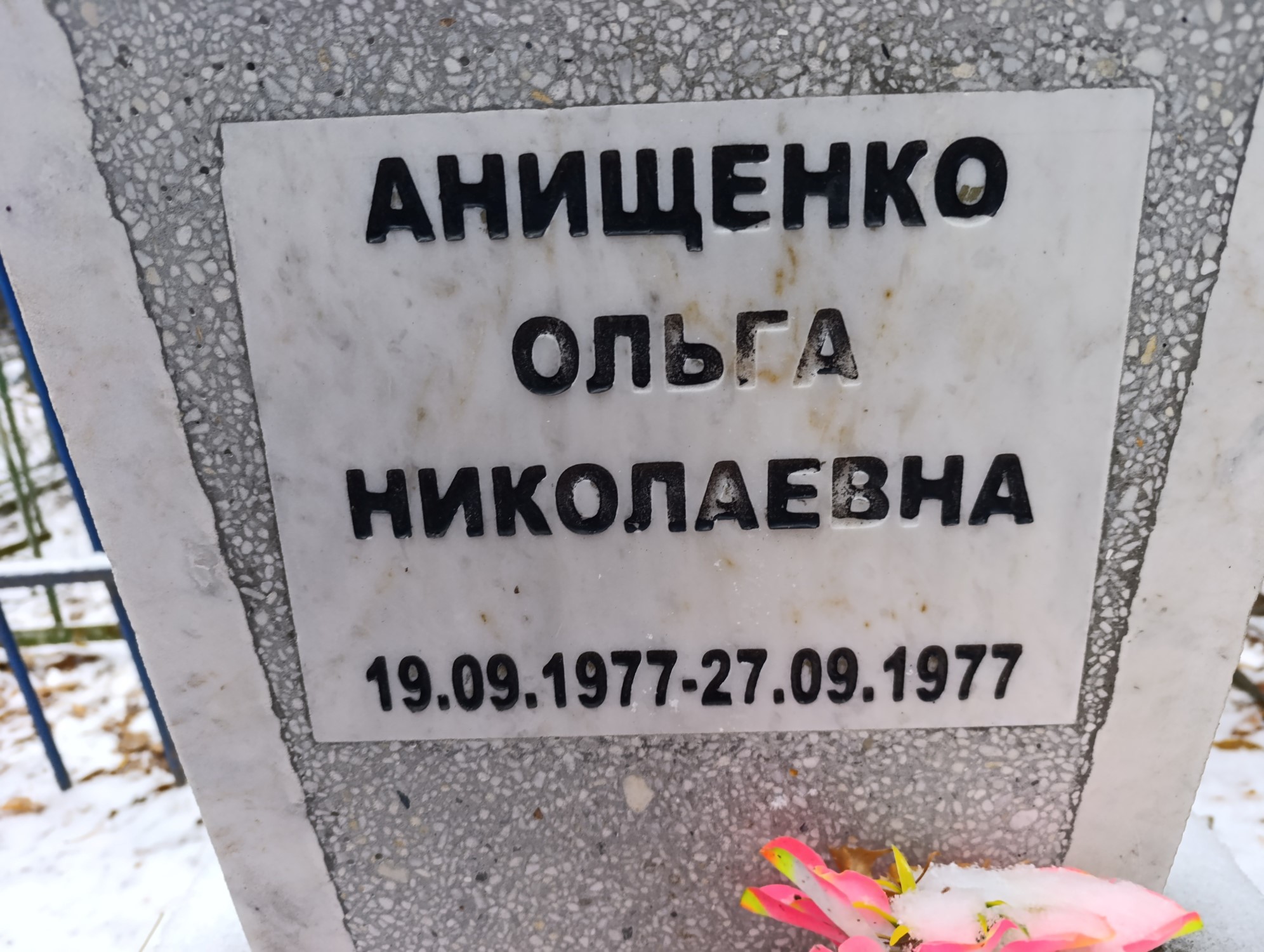 Анищенко Ольга Николаевна