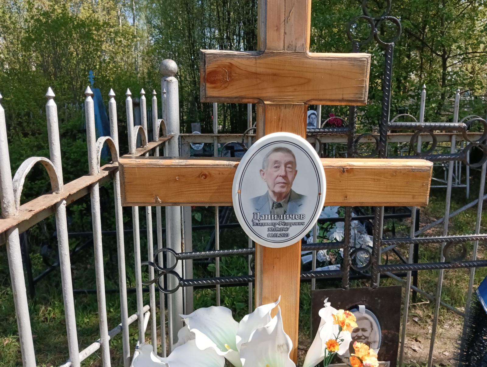 Даниличев Владимир Федорович