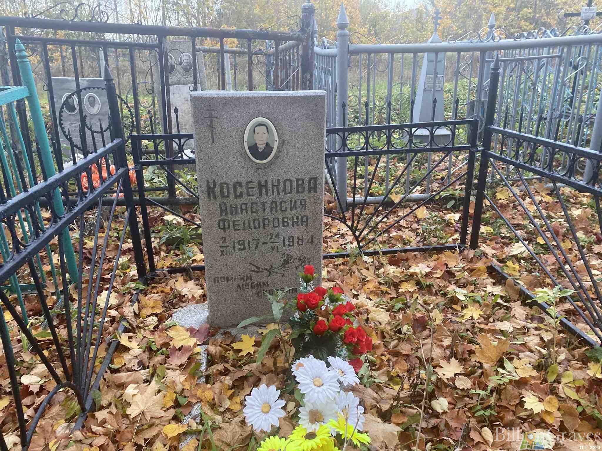 Косенкова Анастасия Федоровна