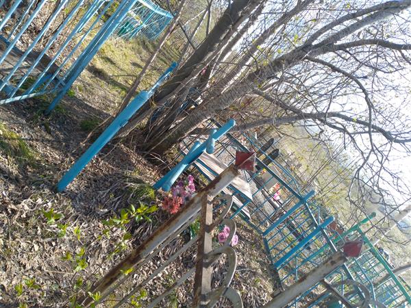 Федотова Анна Платоновна