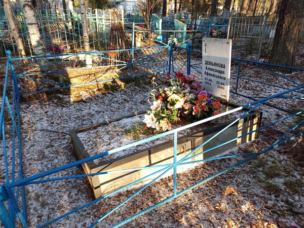 Демьянова Александра Афанасьевна