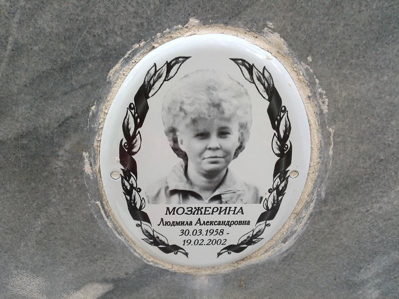 Мозжерина