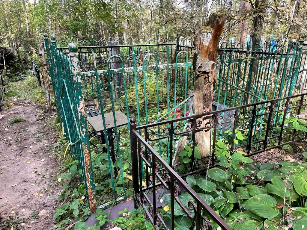 Кащицина Анна Андреевна