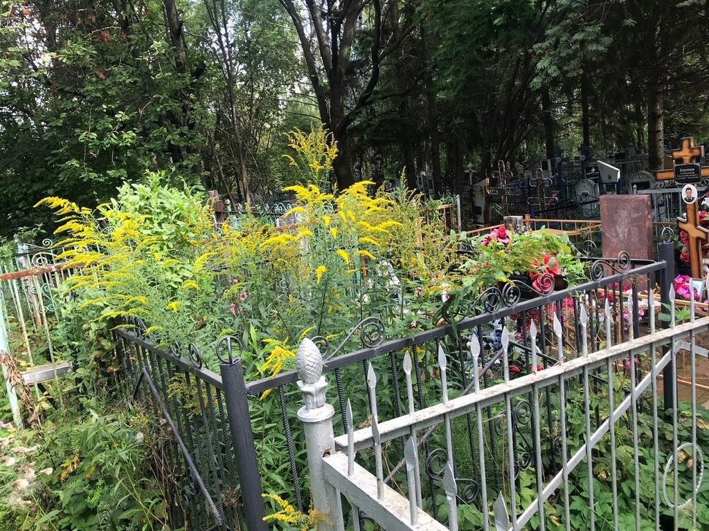 Поздышев Георгий Иванович