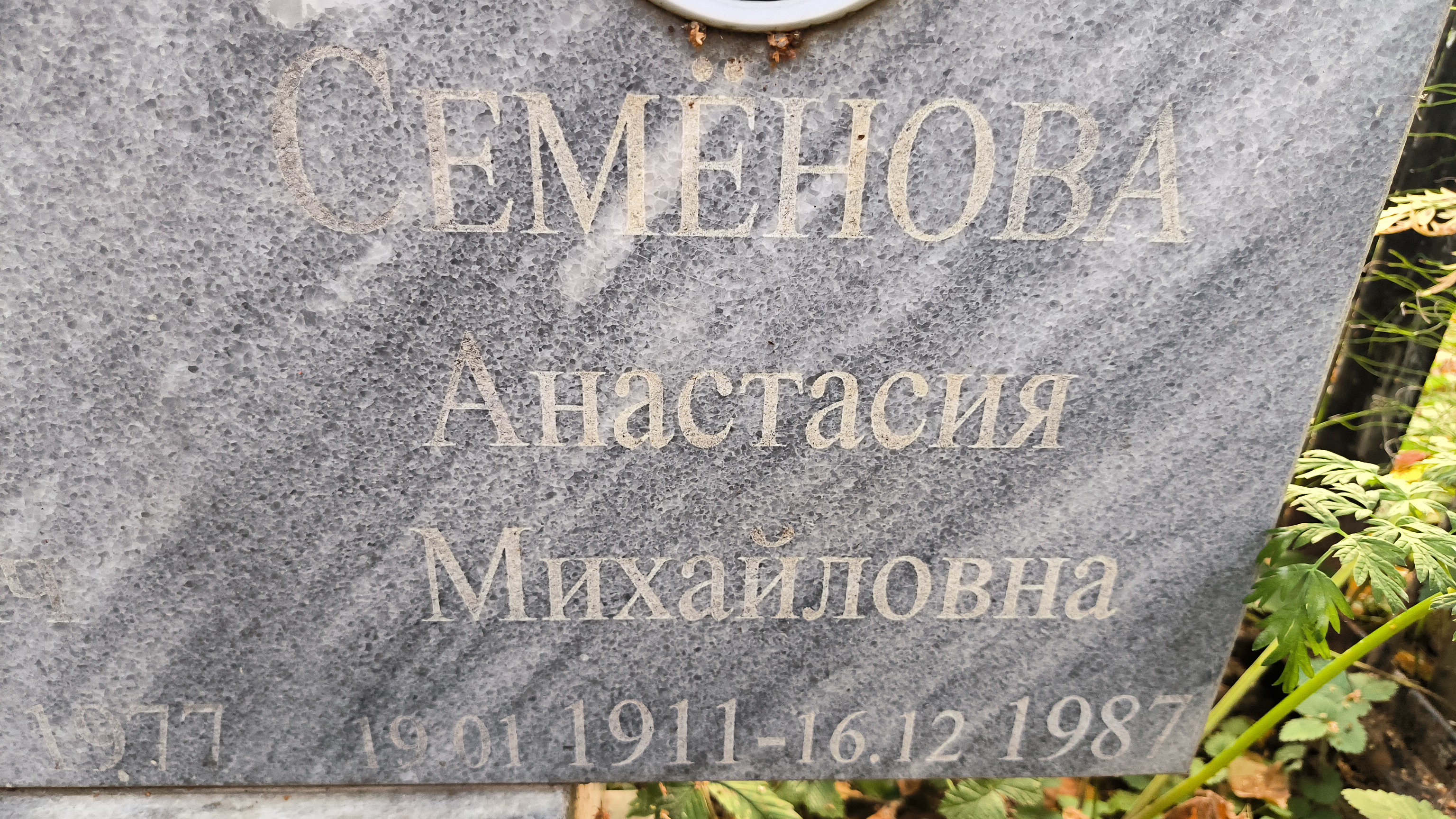 Семёнова Анастасия Михайловна