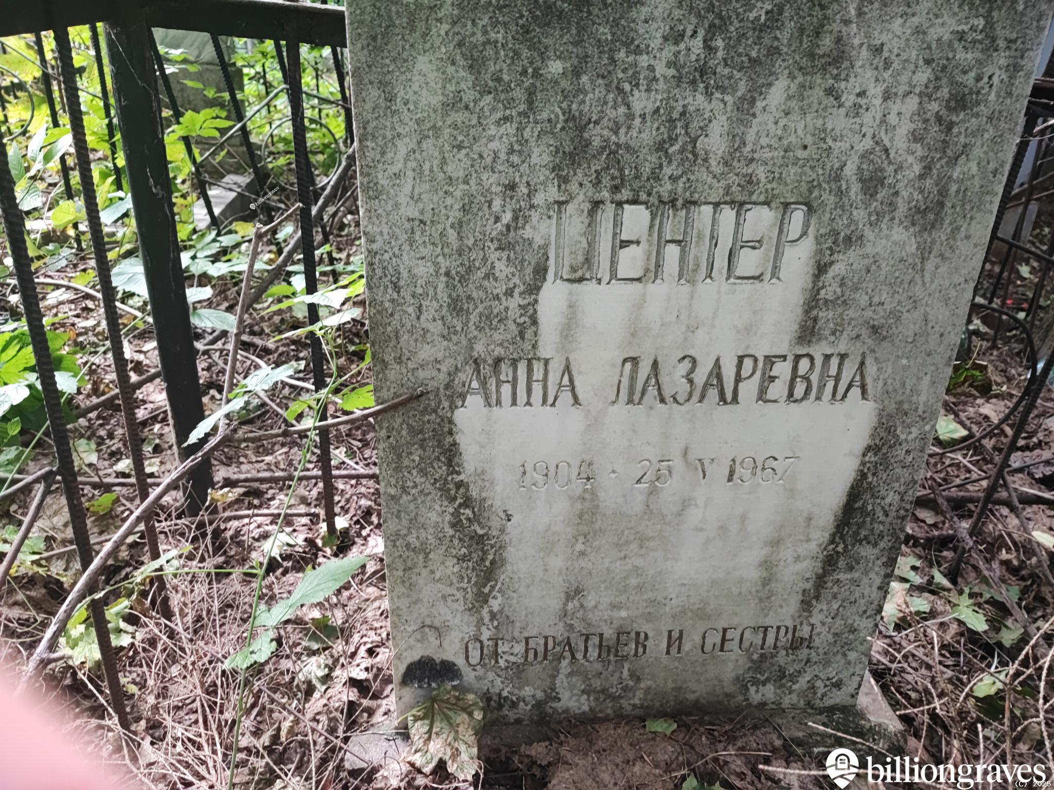 Центер Анна Лазаревна