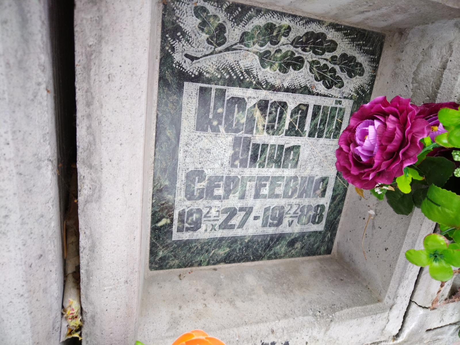 Колодий Нина Сергеевна