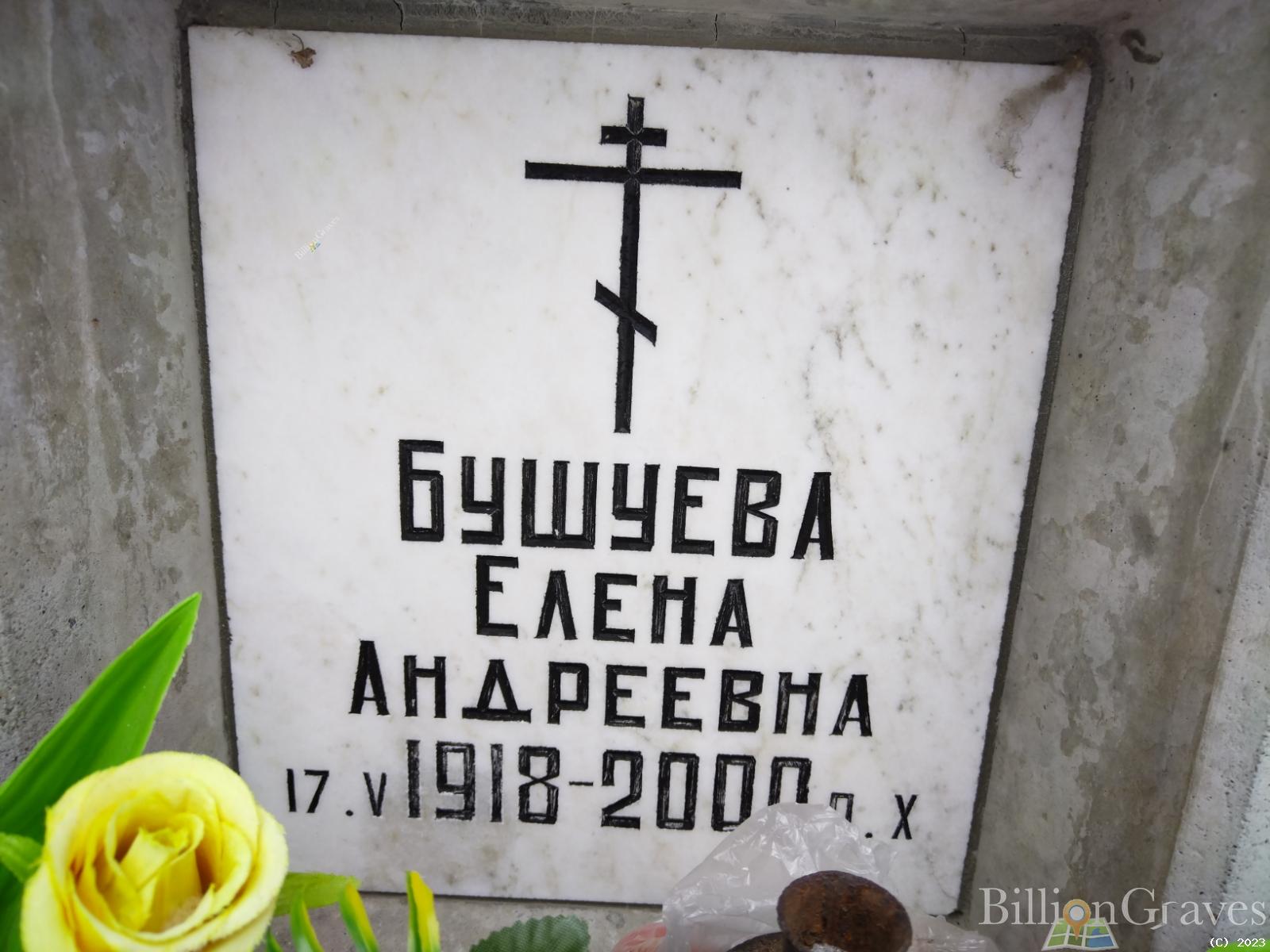 Бушуева Елена Андреевна