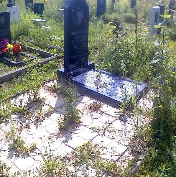 Лесников Николай Васильевич