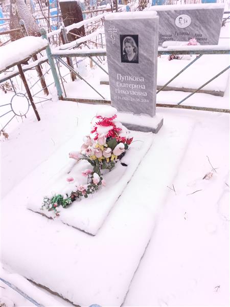 Пупкова Екатерина Николаевна