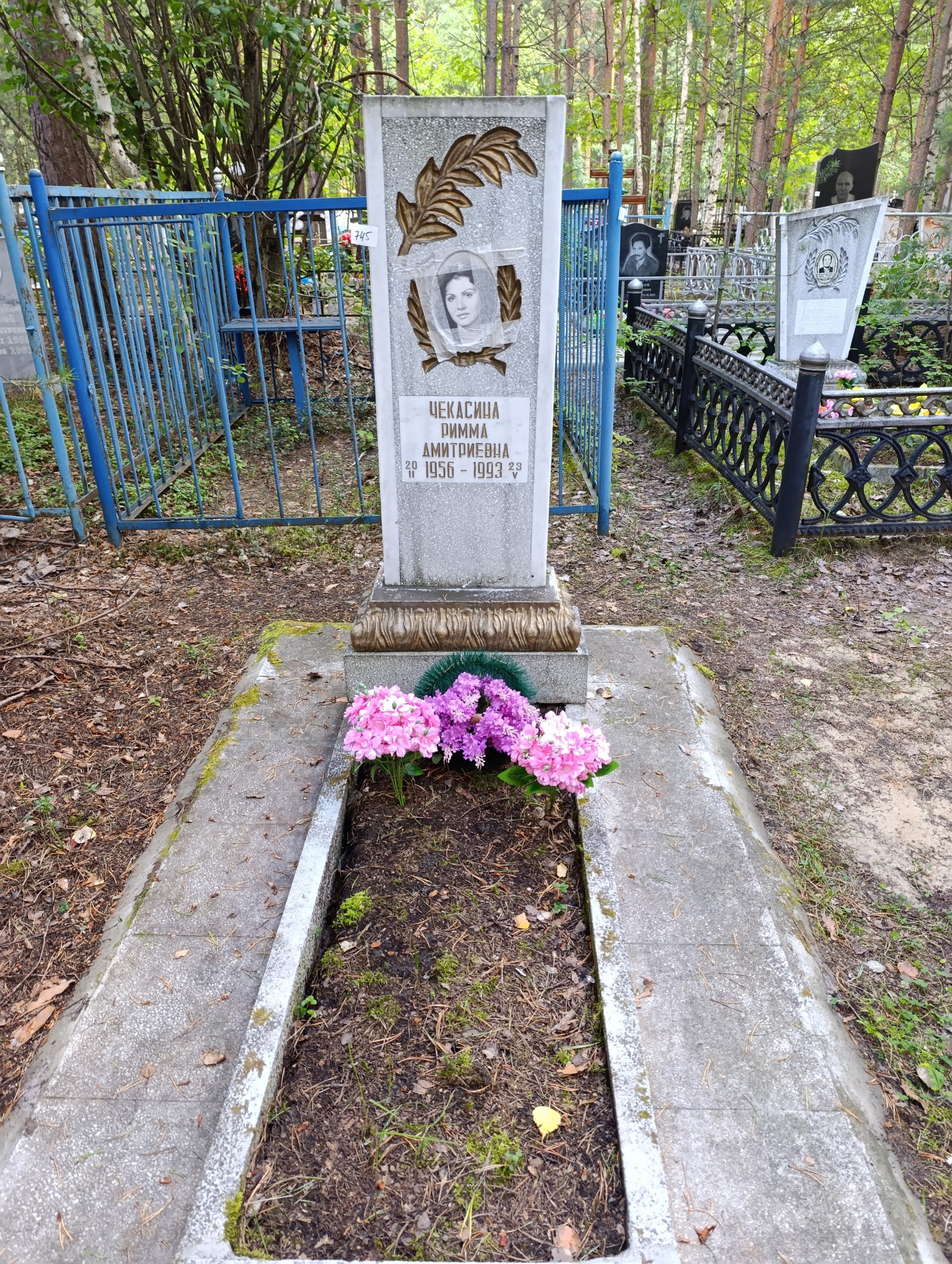 Чекасина Римма Дмитриевна