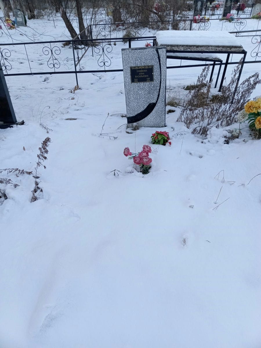 Ефимова Анна Васильевна