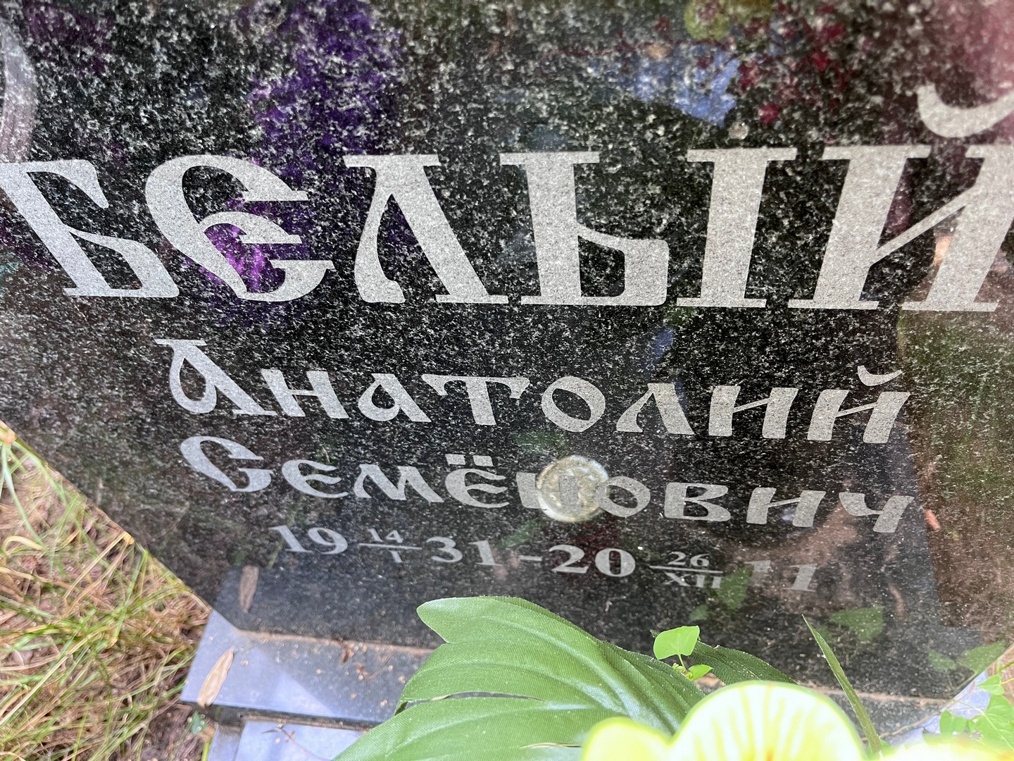 Белый