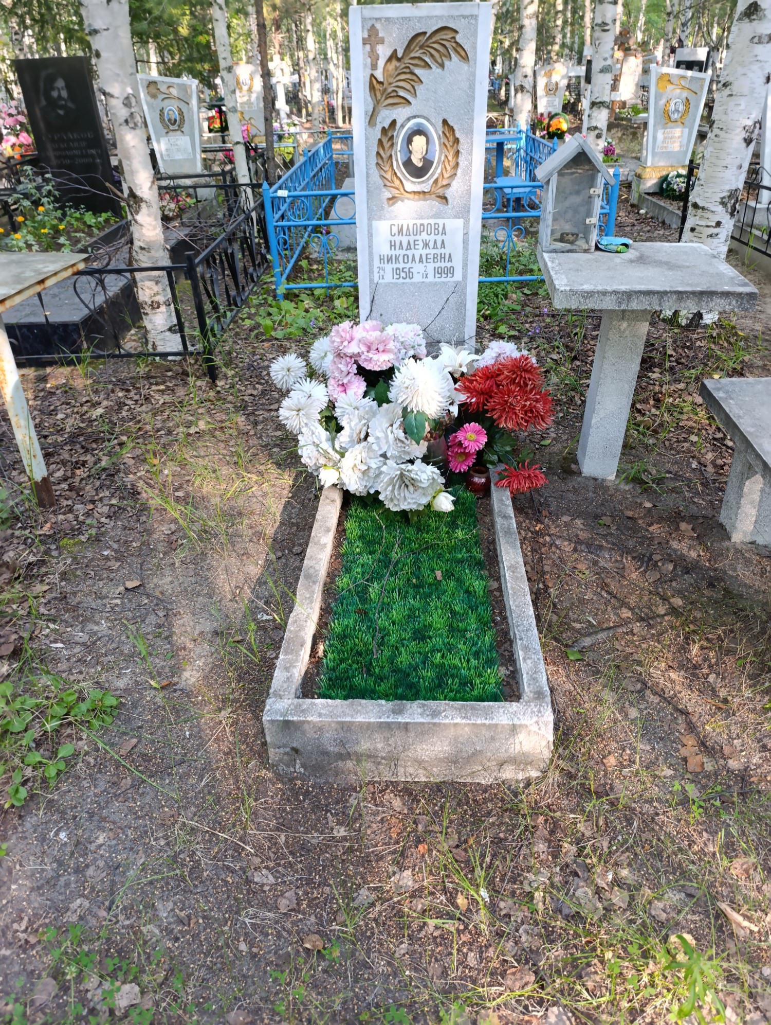 Сидорова Надежда Николаевна