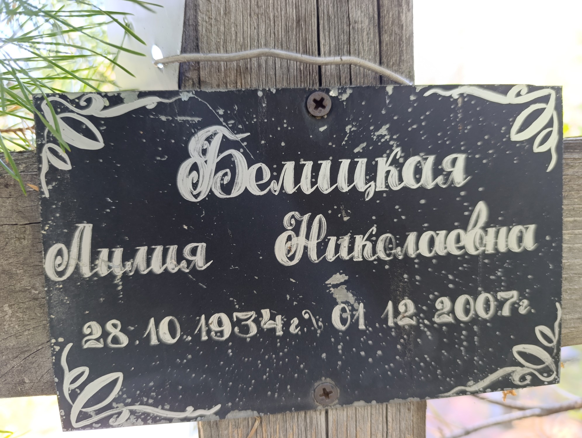 Белицкая Лилия Николаевна
