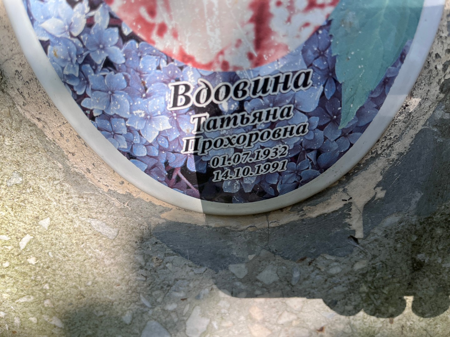 Вдовина