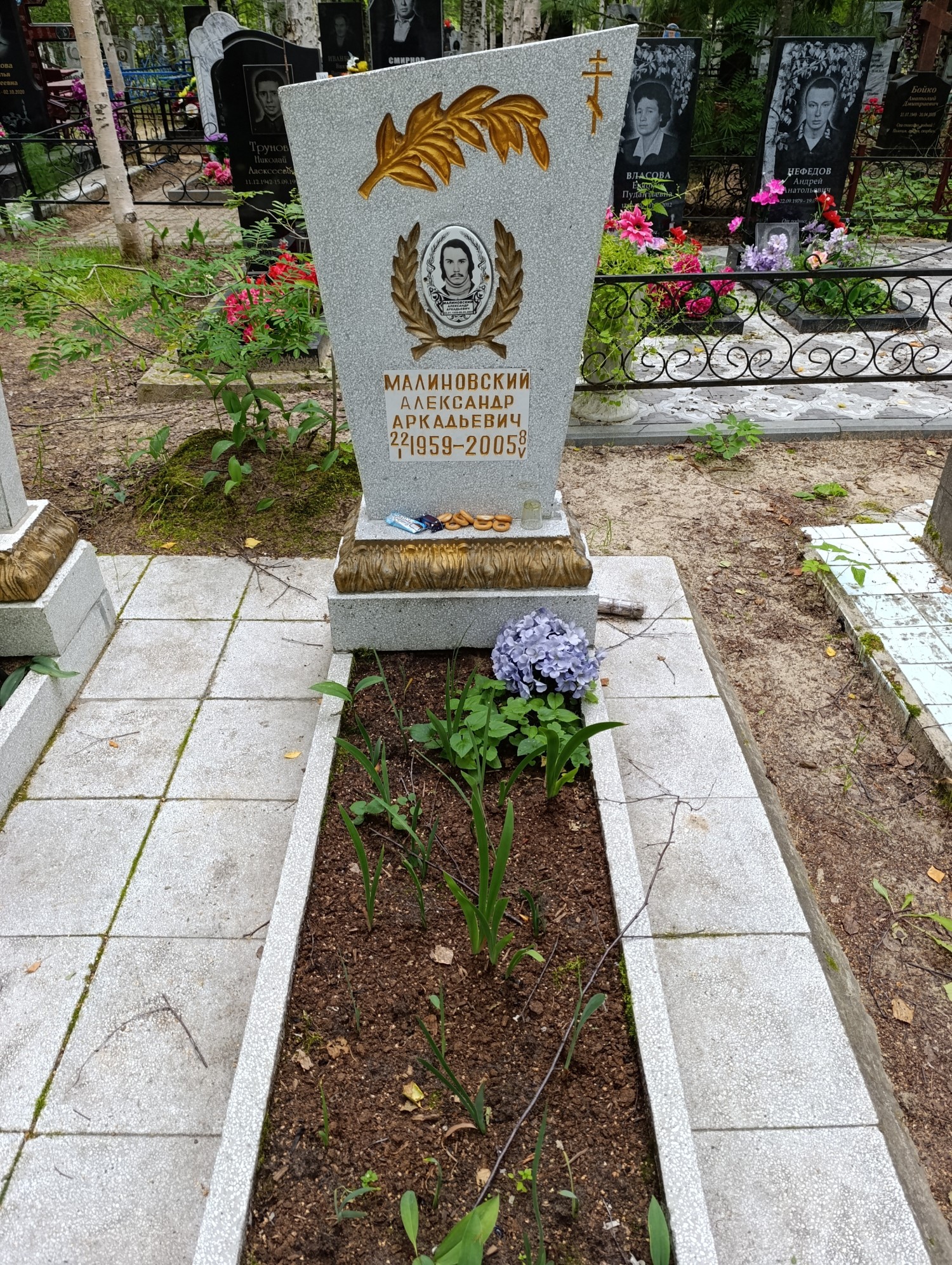 Малиновский Александр Аркадьевич