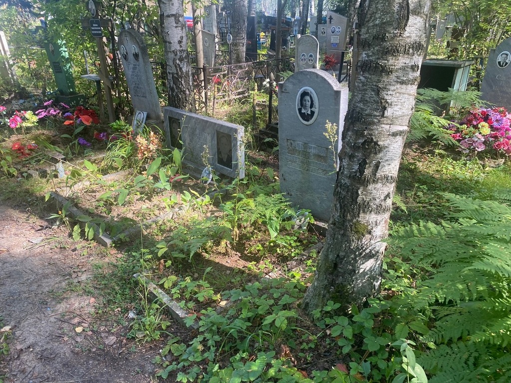 Грибанова Вера Константиновна